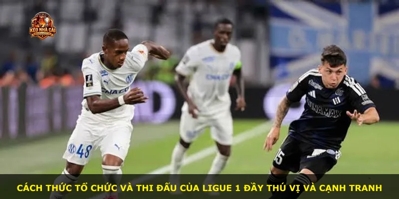 Cách thức tổ chức và thi đấu của Ligue 1 đầy thú vị và cạnh tranh
