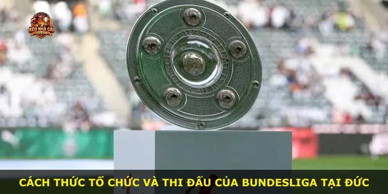 Cách thức tổ chức và thi đấu của Bundesliga tại Đức