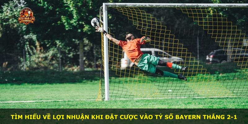 Tìm hiểu về lợi nhuận khi đặt cược vào tỷ số Bayern thắng 2-1