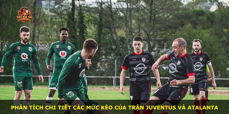 Phân tích chi tiết các mức kèo của trận Juventus và Atalanta