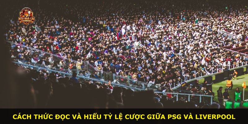 Cách thức đọc và hiểu tỷ lệ cược giữa PSG và Liverpool