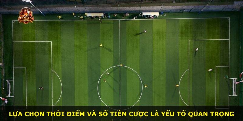 Lựa chọn thời điểm và số tiền cược là yếu tố quan trọng