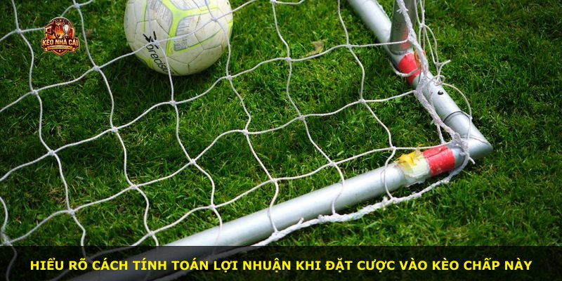 Hiểu rõ cách tính toán lợi nhuận khi đặt cược vào kèo chấp này