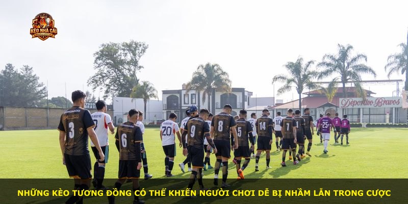 Những kèo tương đồng có thể khiến người chơi dễ bị nhầm lẫn trong cược