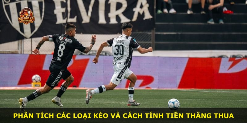 Phân tích các loại kèo và cách tính tiền thắng thua