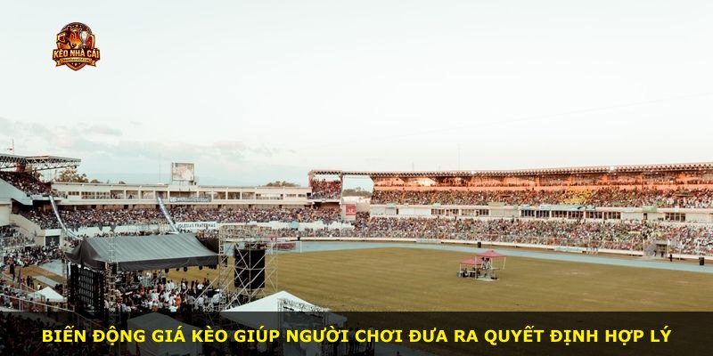 Biến động giá kèo giúp người chơi đưa ra quyết định hợp lý