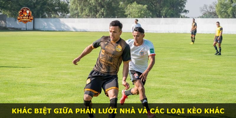 Khác biệt giữa phản lưới nhà và các loại kèo khác