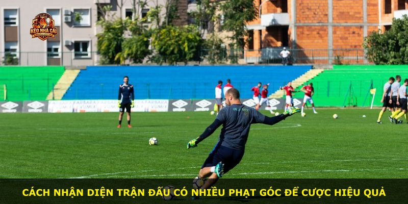 Cách nhận diện trận đấu có nhiều phạt góc để cược hiệu quả
