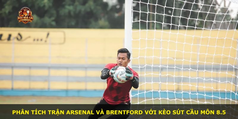 Phân tích trận Arsenal và Brentford với kèo sút cầu môn 8.5