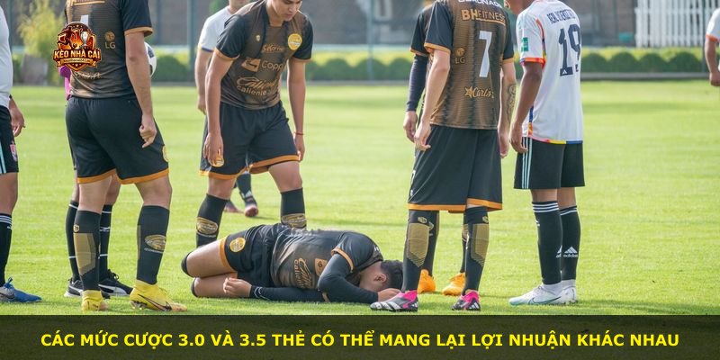 Các mức cược 3.0 và 3.5 thẻ có thể mang lại lợi nhuận khác nhau
