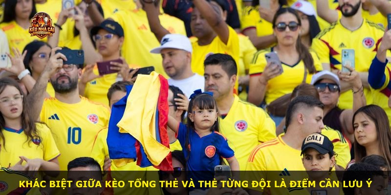 Khác biệt giữa kèo tổng thẻ và thẻ từng đội là điểm cần lưu ý