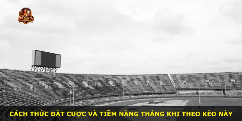 Cách thức đặt cược và tiềm năng thắng khi theo kèo này