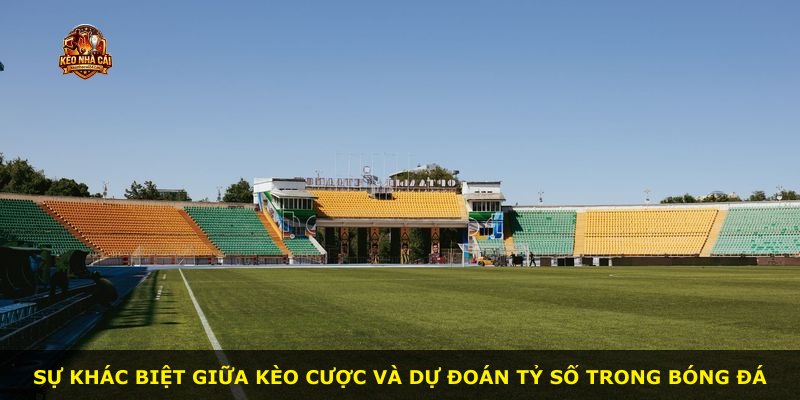 Sự khác biệt giữa kèo cược và dự đoán tỷ số trong bóng đá