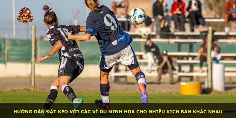 Hướng dẫn đặt kèo với các ví dụ minh họa cho nhiều kịch bản khác nhau