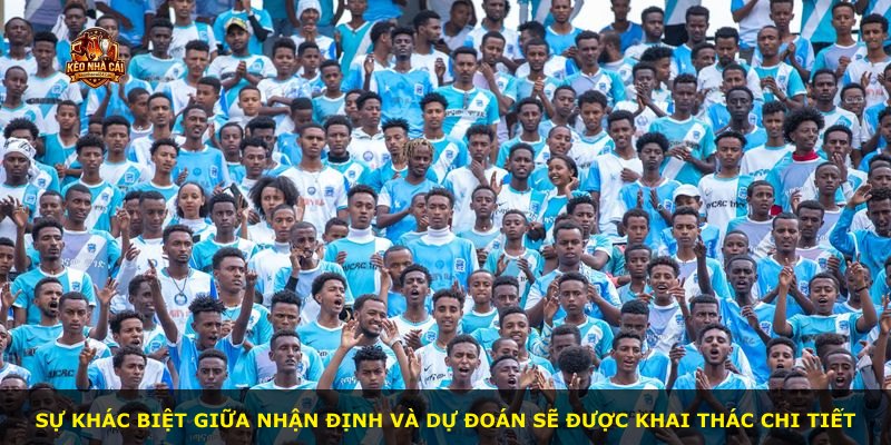 Sự khác biệt giữa nhận định và dự đoán sẽ được khai thác chi tiết