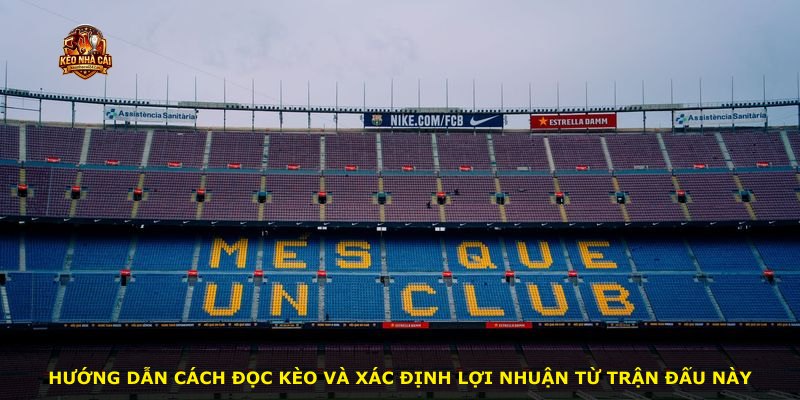 Hướng dẫn cách đọc kèo và xác định lợi nhuận từ trận đấu này