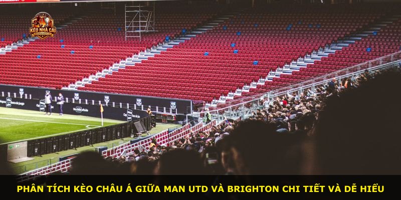 Phân tích kèo châu Á giữa Man Utd và Brighton chi tiết và dễ hiểu