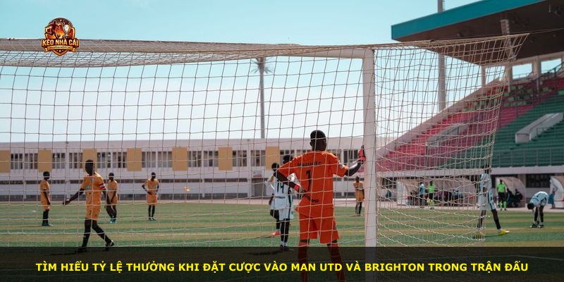 Tìm hiểu tỷ lệ thưởng khi đặt cược vào Man Utd và Brighton trong trận đấu
