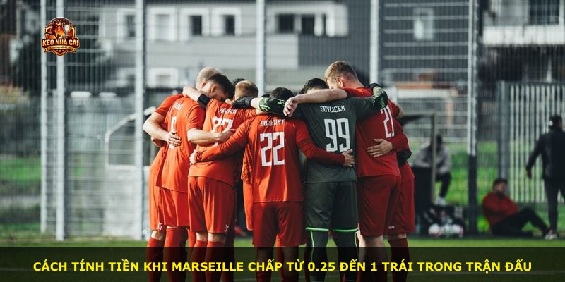 Cách tính tiền khi Marseille chấp từ 0.25 đến 1 trái trong trận đấu