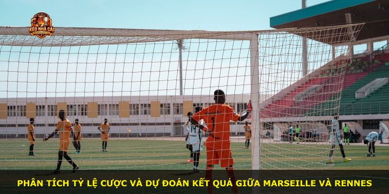 Phân tích tỷ lệ cược và dự đoán kết quả giữa Marseille và Rennes