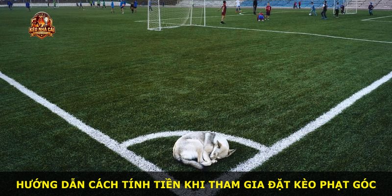Hướng dẫn cách tính tiền khi tham gia đặt kèo phạt góc