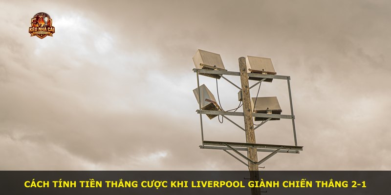 Cách tính tiền thắng cược khi Liverpool giành chiến thắng 2-1