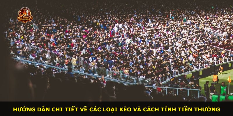 Hướng dẫn chi tiết về các loại kèo và cách tính tiền thưởng