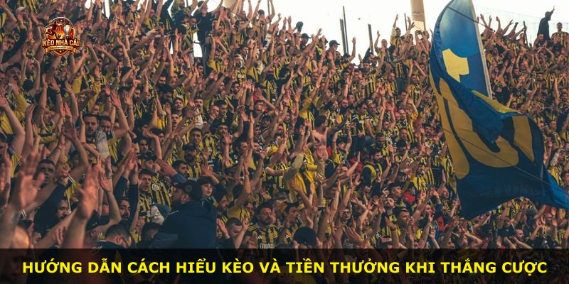 Hướng dẫn cách hiểu kèo và tiền thưởng khi thắng cược