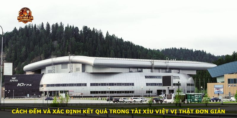 Cách đếm và xác định kết quả trong Tài Xỉu Việt Vị thật đơn giản