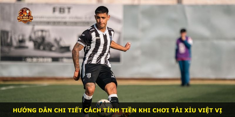 Hướng dẫn chi tiết cách tính tiền khi chơi Tài Xỉu Việt Vị