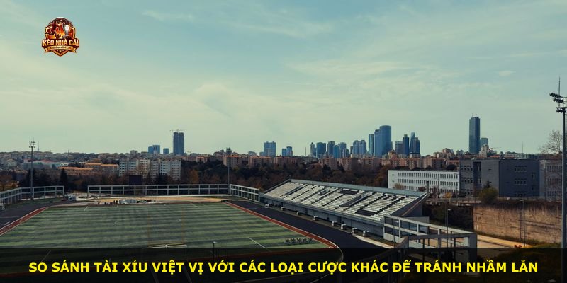 So sánh Tài Xỉu Việt Vị với các loại cược khác để tránh nhầm lẫn