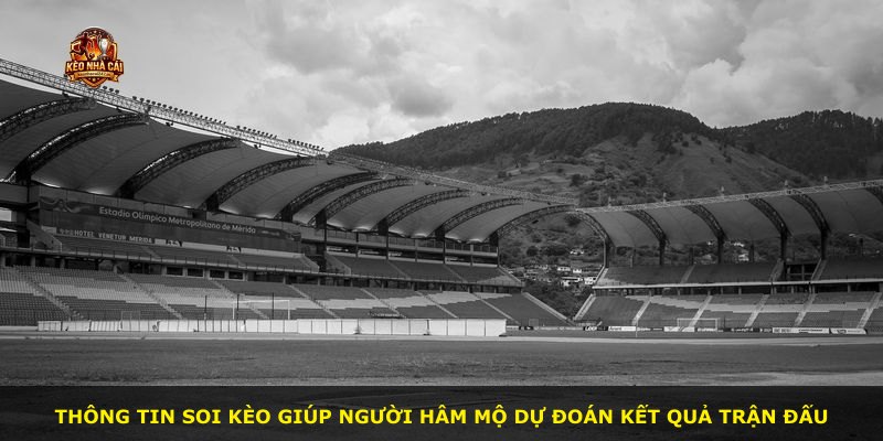Thông tin soi kèo giúp người hâm mộ dự đoán kết quả trận đấu