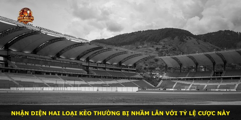 Nhận diện hai loại kèo thường bị nhầm lẫn với tỷ lệ cược này