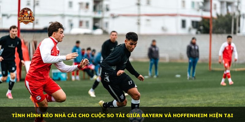 Tình hình kèo nhà cái cho cuộc so tài giữa Bayern và Hoffenheim hiện tại