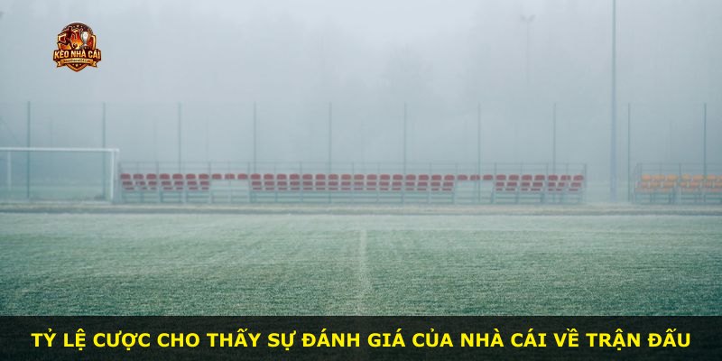 Tỷ lệ cược cho thấy sự đánh giá của nhà cái về trận đấu